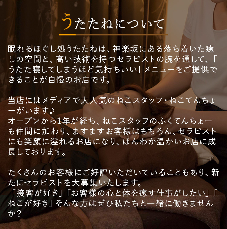 うたたねについて