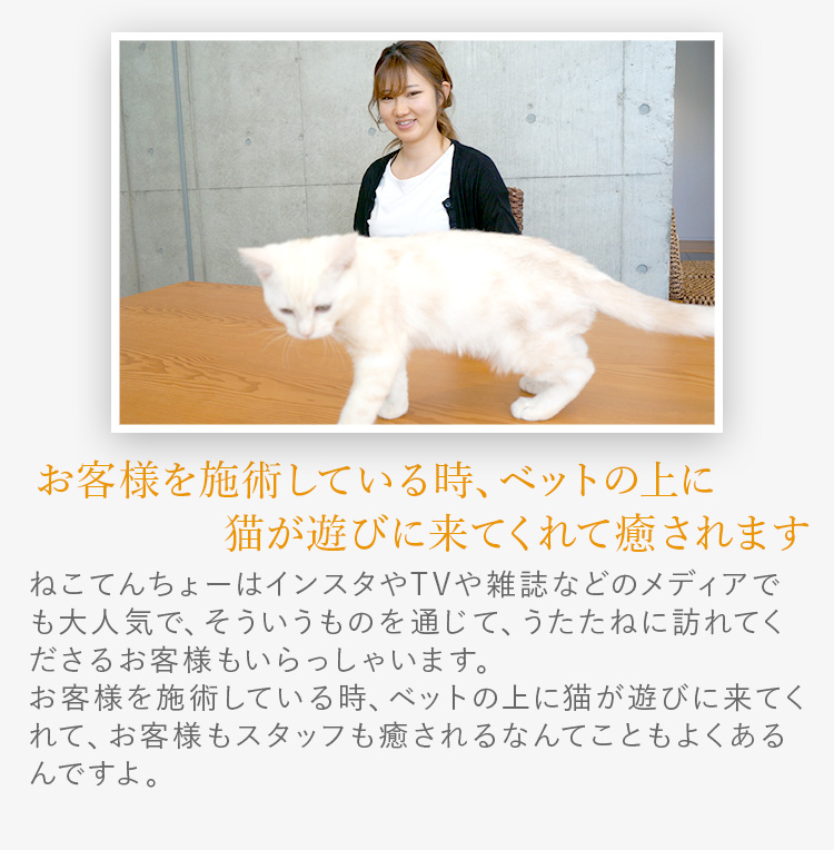 先輩セラピストの声３